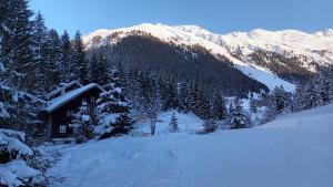 Piz Arina Inklusiv Premium - Card