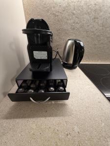 Stelle di Verona - Vega