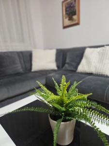 Apartment Orion - Arena Zagreb - parking