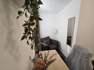 House in Kensington 16 Guests