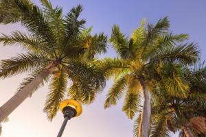 Renaissance Santo Domingo Jaragua Hotel & Casino