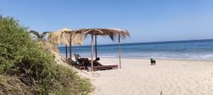 Villa Naylamp Loft 2 familiar playa pocitas