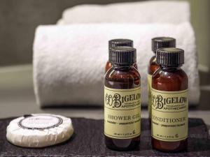 Pullman Santiago El Bosque