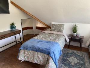 Private Backyard • Drive to Disney