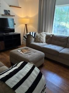 Private Backyard • Drive to Disney