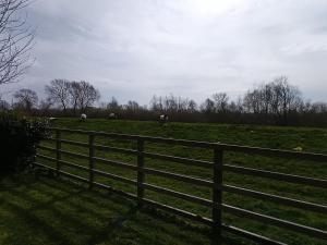 The White House Kelfield