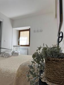 Guest House Teresina