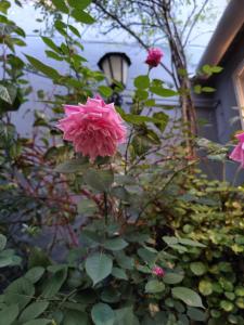 La Resi Bed & Breakfast