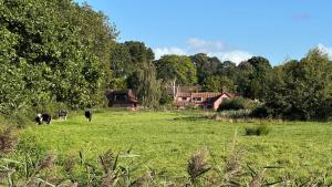 Danegelts Waveney Marshes Bed & Breakfast