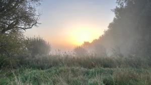 Danegelts Waveney Marshes Bed & Breakfast