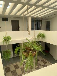 Apartamento Centro Bucaramanga