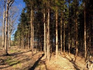 4 person holiday home in Karrebæksminde-By Traum