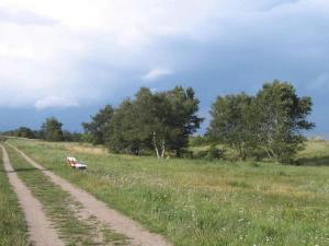 11 person holiday home in Væggerløse-By Traum