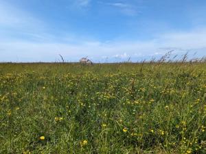 6 person holiday home in Gedser