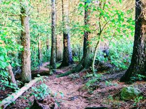 4 star holiday home in Hornsyld