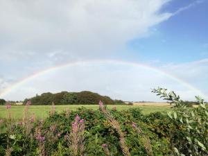 4 star holiday home in Hornsyld