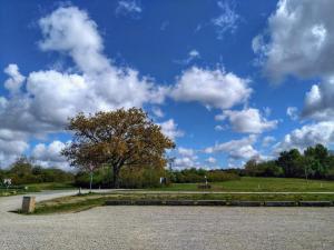 7 person holiday home in Kolind-By Traum