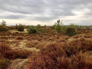 5 person holiday home in Hovborg