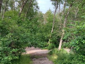 12 person holiday home in Hundested-By Traum