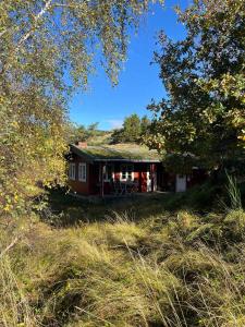 Log Cabin On Fanø Near Beach And Nature
