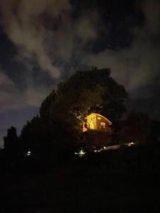 Casa del Árbol Sesquile