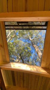 Casa del Árbol Sesquile