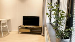 Perfect Night Vida Arena WiFi 247