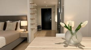 Perfect Night Vida Arena WiFi 247