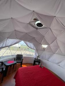 Glamping Burbuja