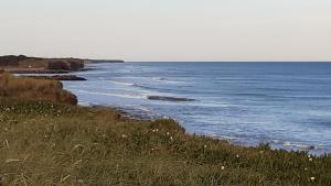 Cabañitas surf bruskas