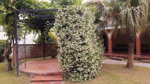 Mi pedacito de Cielo!!!!