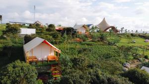 Danny Glamping Farm