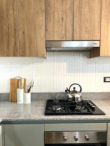 Beautiful Modern Apartment in Lima