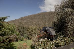 Wilder Stay with sauna, outdoor bath and plunge