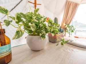 Kaamlanai Harbor - Vacation STAY 48668v