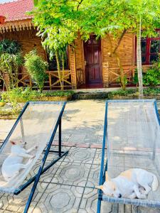 Trang An Quynh Trang Happy Homestay & Garden