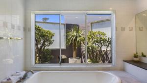 Beachside Position Avoca Beach - Soundwaves 3