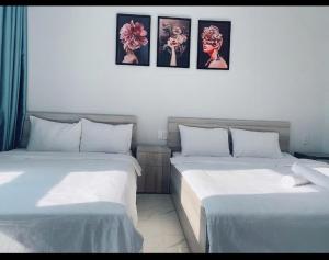 La Maison De Dino Grandworld