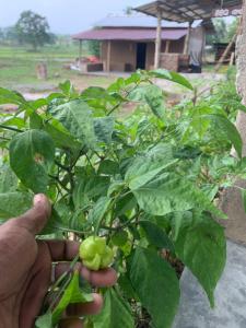 Hideout Madawalalanda