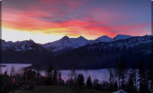 Einzigartige Holzhütte Mit Bergpanorama