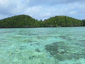 "Shady Sea Raja Ampat"