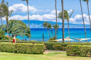 Napili Shores D229 condo