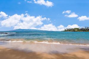Napili Shores D229 condo