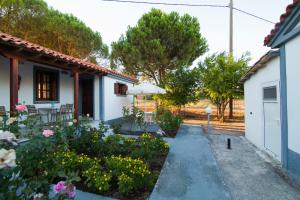 Vicky Studios and Apartments