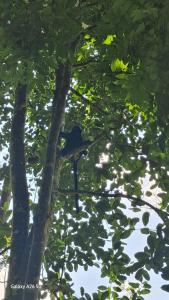 Bareng Homestay Tetebatu