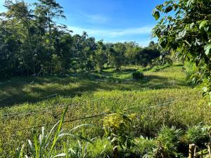 Bareng Homestay Tetebatu