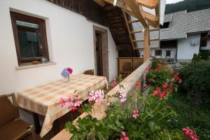 Turistična Kmetija Gartner 3a 