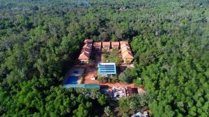 Paradise Auro Jungle Resort