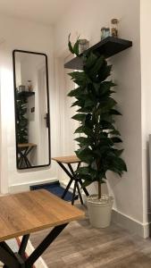 شقة بغرفة وصالة