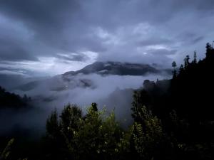 The Nature View Tree Cottage